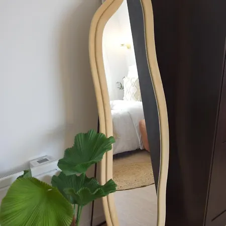 Apartment Clim Cocon Dore 7 Cozy Comfort Toulouse